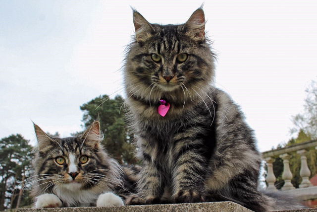 Sundance and Cassidy